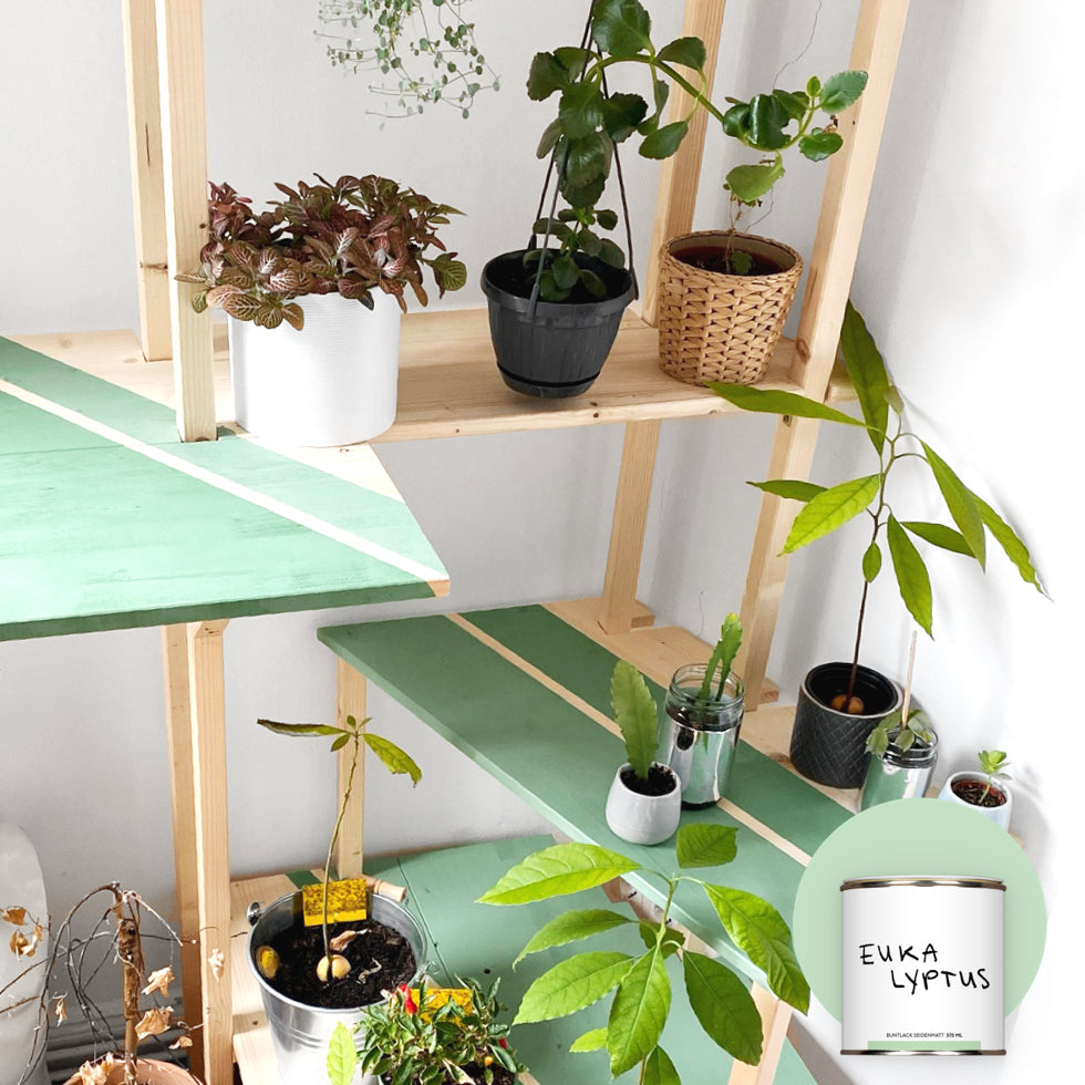 DIY-Pflanzenregal aus Naturholz mit Streifen in Eukalyptus